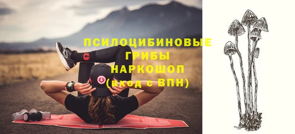 наркотики Каменногорск