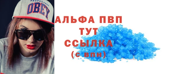сатива Каменск-Шахтинский