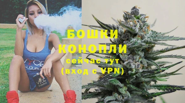 СК Каменка
