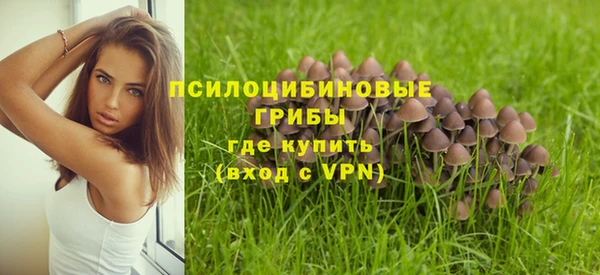 наркотики Каменногорск