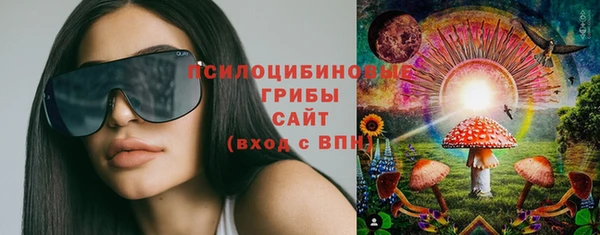 наркотики Каменногорск