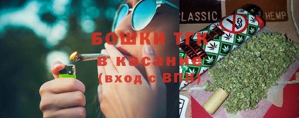 сатива Каменск-Шахтинский