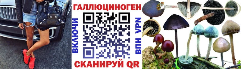 Галлюциногенные грибы MAGIC MUSHROOMS  Купить  Гвардейск 