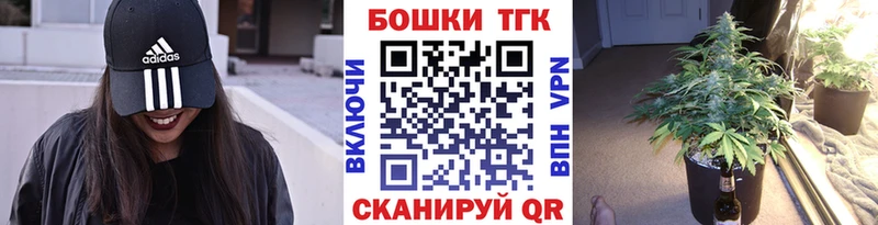 Канабис планчик Купить закладки Гвардейск